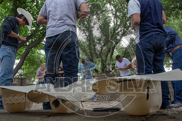A7D_2951
