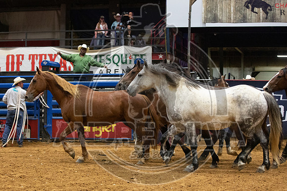 06_08_19_Mesquite_111_Silva