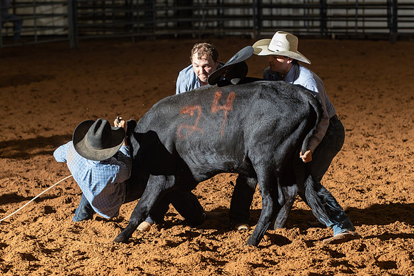 2024_Nov_02_Quin_McCoy_154
