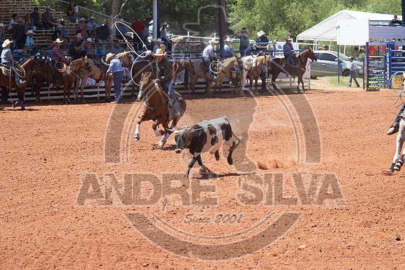 2024_July_02_Team_Roping_341