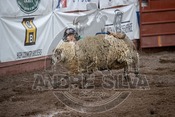 2024 Eagle_Mutton Busting_1588-AndreSilva