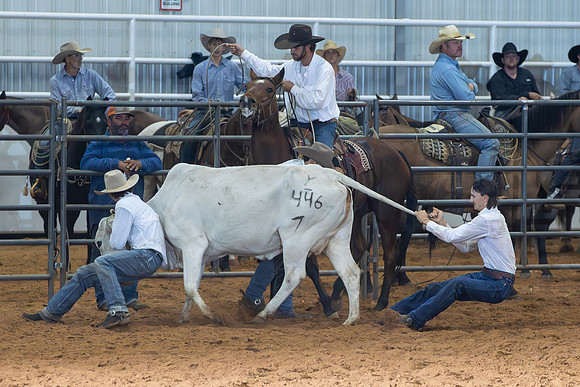 2024_Nov_02_Quin_McCoy_103