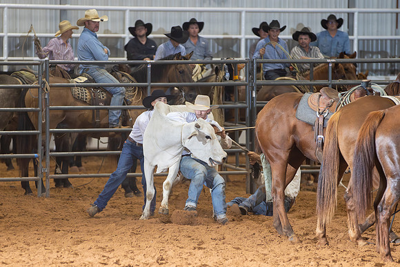 2024_Nov_02_Quin_McCoy_108