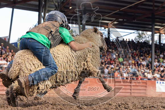 2024 Eagle_Mutton Busting__2598-AndreSilva