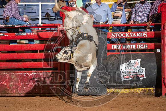 2021_Jan_01_ABBI_153