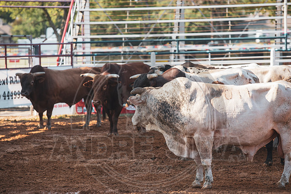 08_16_19_Denton_003_Silva