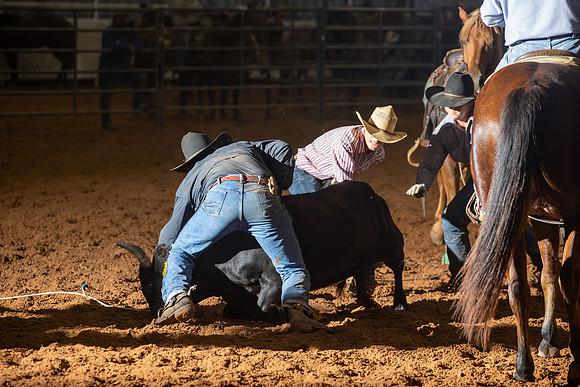 2024_Nov_02_Quin_McCoy_164