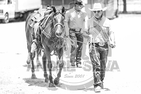 2020_06_06_Mesquite_015_Silva