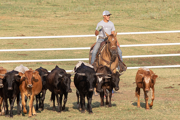 08_05_19_Vieira_Ranch_019_Silva