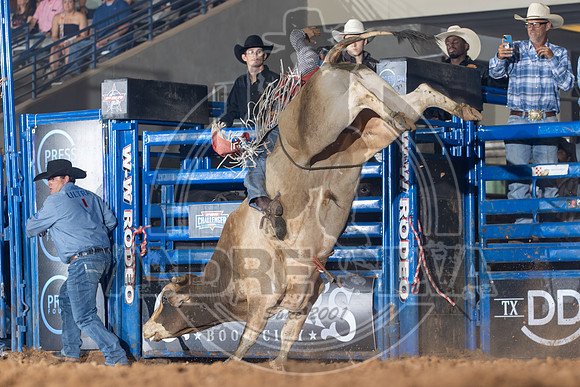 2024_July_13_Amarillo_TX_008
