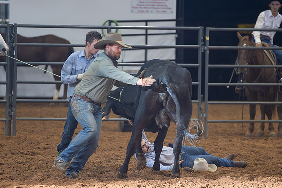 2024_Nov_02_Quin_McCoy_075