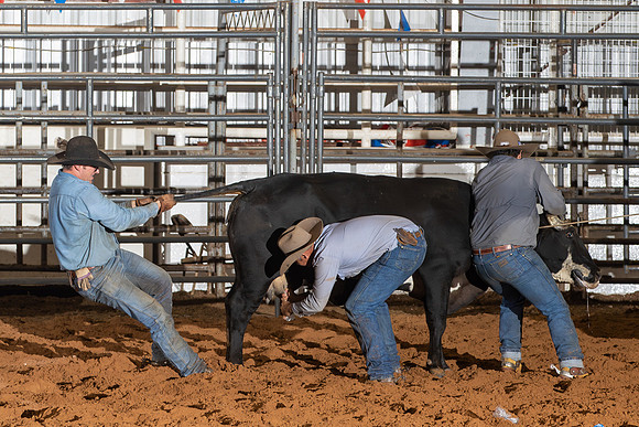 2024_Nov_02_Quin_McCoy_057