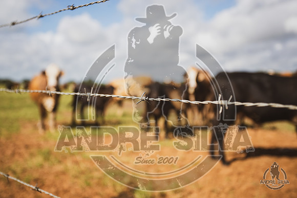 2020_July_18_ABBI_040