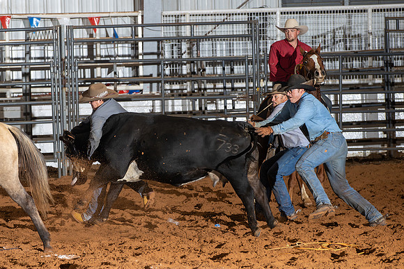 2024_Nov_02_Quin_McCoy_060