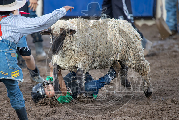 2024 Eagle_Mutton Busting_1599-AndreSilva