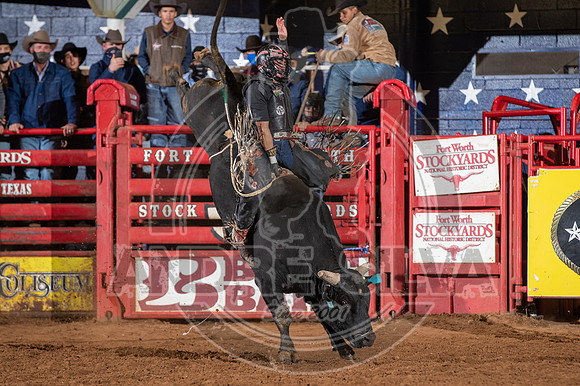 2021_Jan_01_ABBI_195