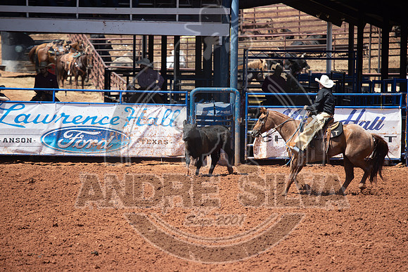 2024_July_06_Ranch_Horse_Competition_3978