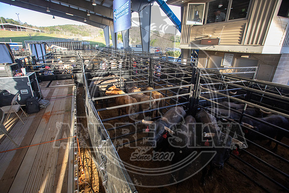 2022_April_15_UBF_461