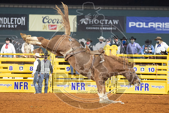 2020_Dez_11_WNFR_Saddle_Bronc_Cole Elshere_906