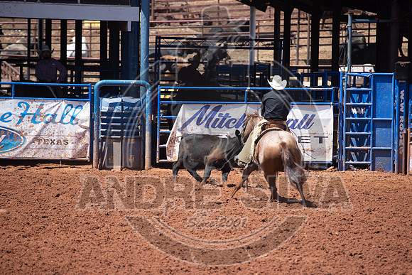 2024_July_06_Ranch_Horse_Competition_3979