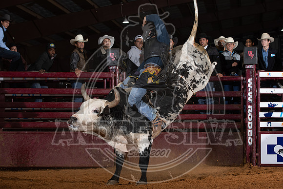 2021_Nov_13_Wall_Street_Ranch_119