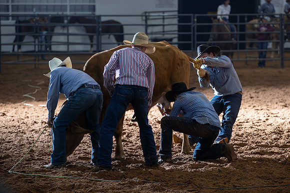 2024_Nov_02_Quin_McCoy_078