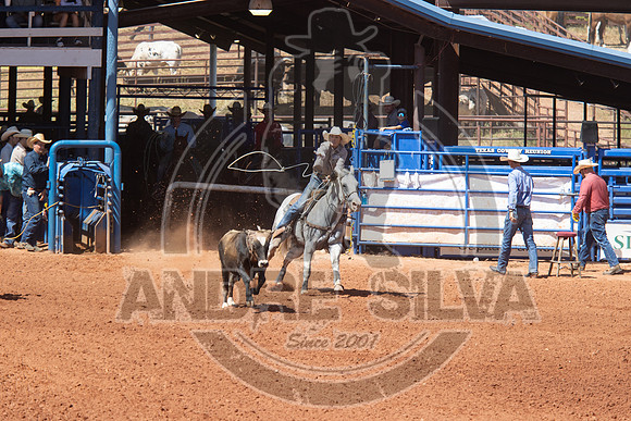 2024_July_02_Team_Roping_216