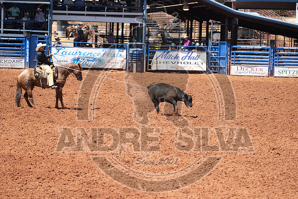 2024_July_06_Ranch_Horse_Competition_3985