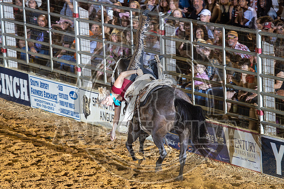 2024 Cowtown Rodeo_Chelsea Anderson_502-AndreSilva