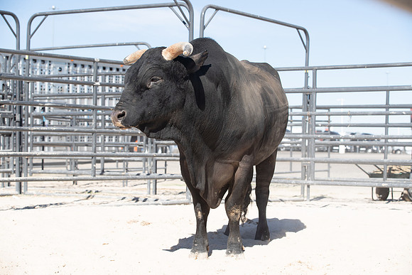 A53I0422