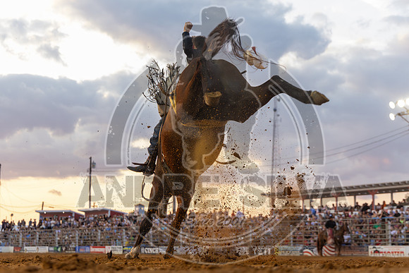 2025_CowtownRodeo_Pilesgrove_NJ_SB__189