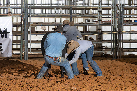 2024_Nov_02_Quin_McCoy_059