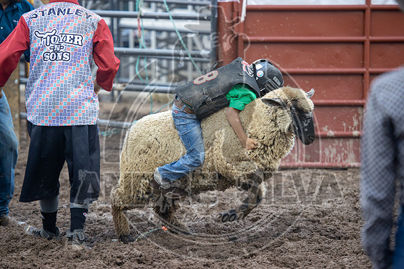 2024 Eagle_Mutton busting_2436-AndreSilva