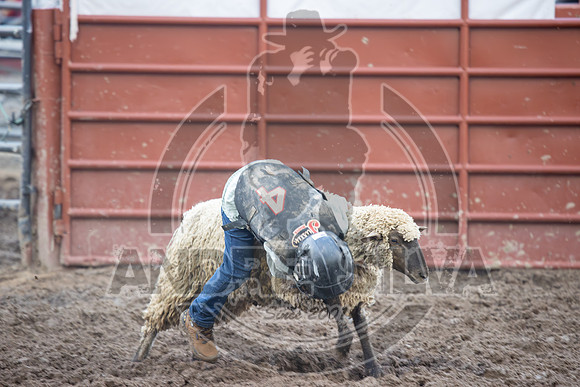 2024 Eagle_Mutton busting_2454-AndreSilva