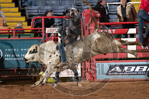 2021_Jan_02_ABBI_379