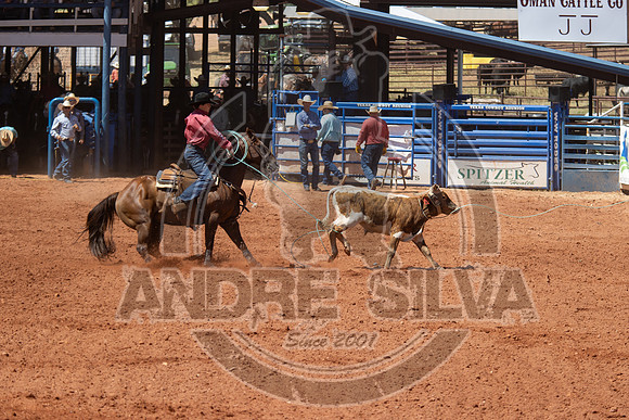 2024_July_02_Team_Roping_300
