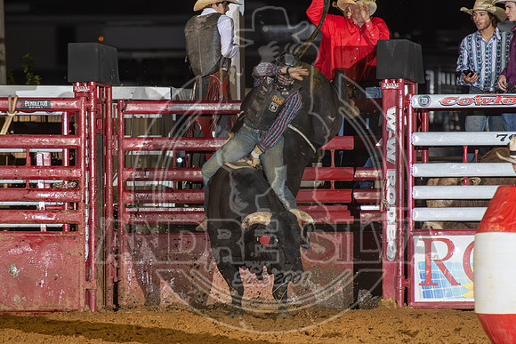 2024 Cowtown Rodeo_BR__586-AndreSilva