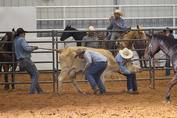 2024_Nov_02_Quin_McCoy_045
