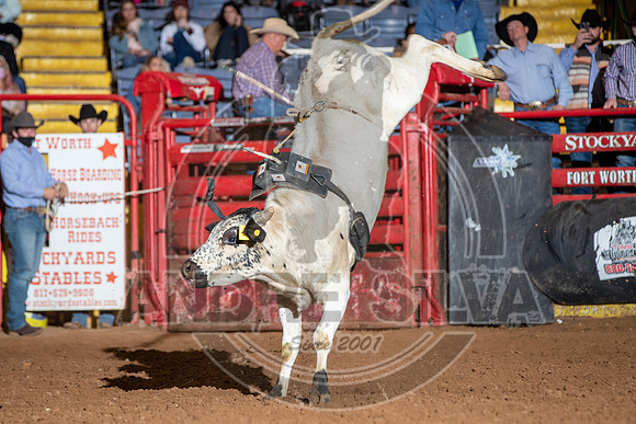 2021_Jan_01_ABBI_154