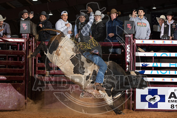 2021_Nov_13_Wall_Street_Ranch_060