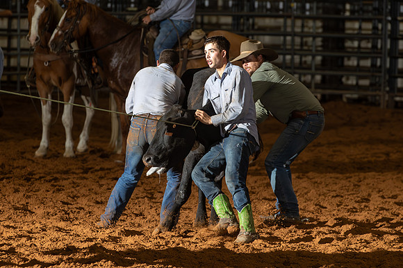2024_Nov_02_Quin_McCoy_073