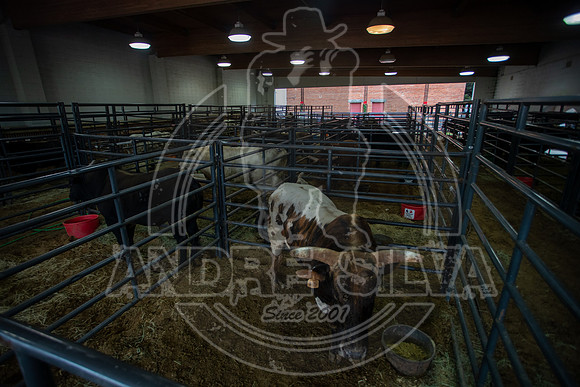 2021_Jan_01_ABBI_015