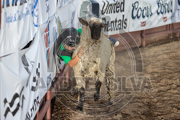 24_July_25_Eagle_CO_144