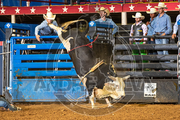 2020_08_01_Mesquite_Bull_Riding_Joseph_Langlitz_286