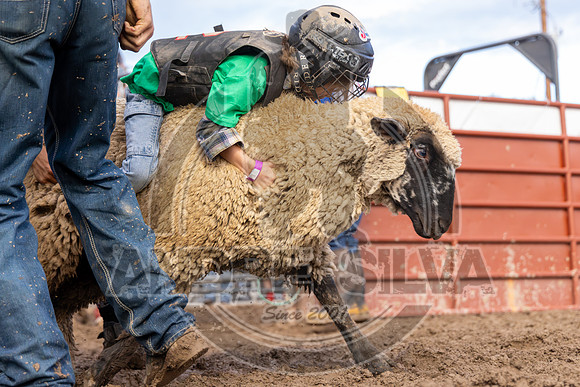 2024 Eagle_Mutton Busting__2594-AndreSilva