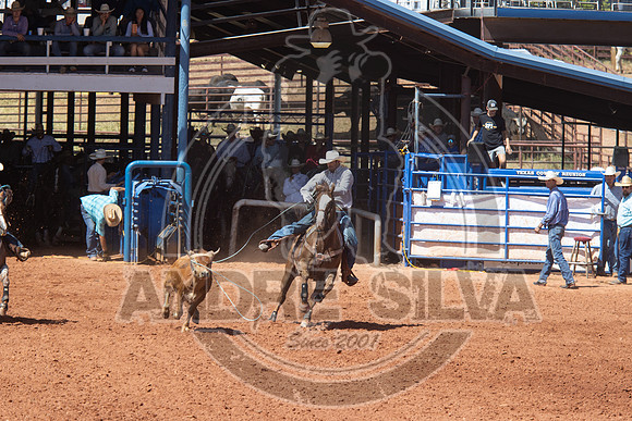 2024_July_02_Team_Roping_250