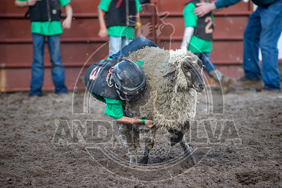 2024 Eagle_Mutton Busting_1635-AndreSilva