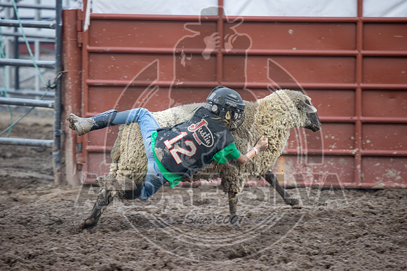 2024 Eagle_Mutton busting_2447-AndreSilva