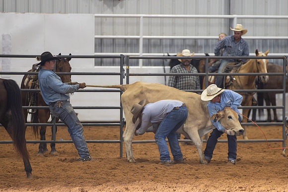 2024_Nov_02_Quin_McCoy_044