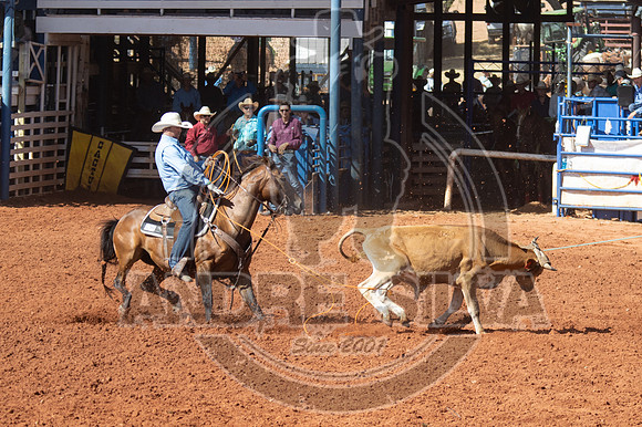 2024_July_02_Team_Roping_137